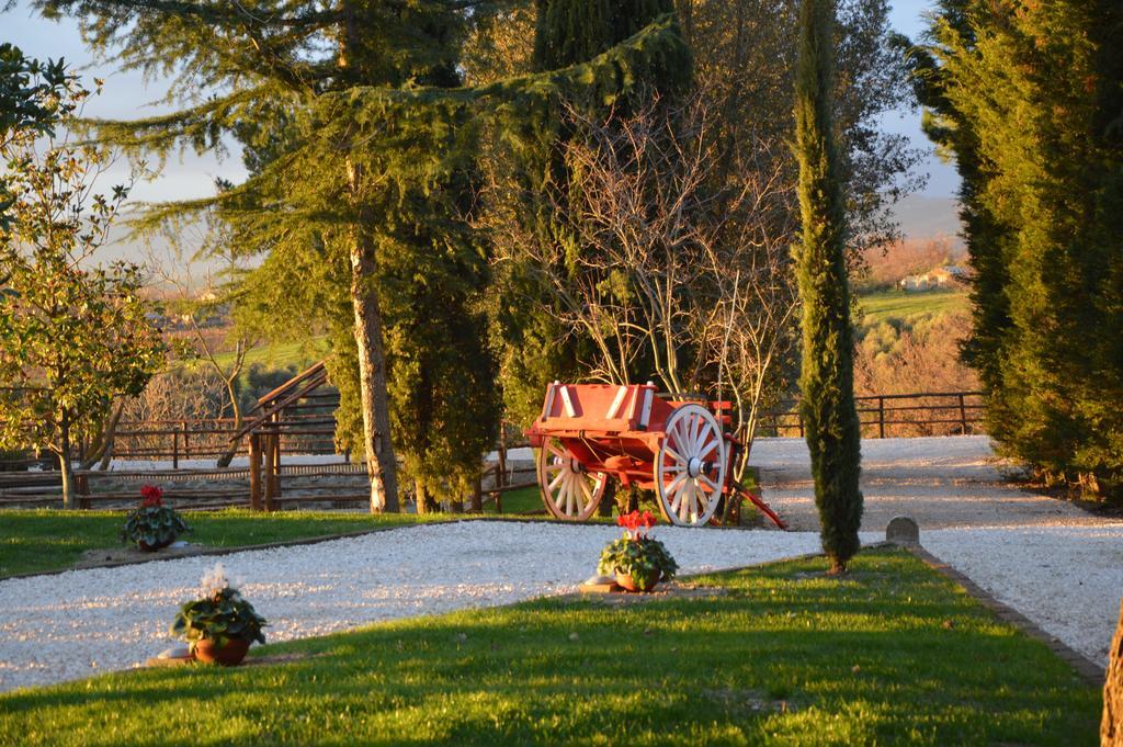Agriturismo La Collina Πιτιλιάνο Δωμάτιο φωτογραφία
