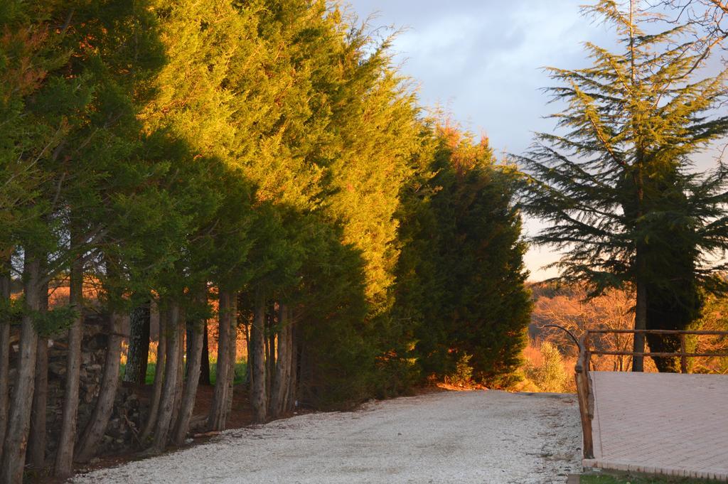 Agriturismo La Collina Πιτιλιάνο Εξωτερικό φωτογραφία