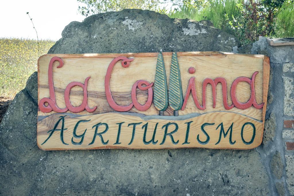 Agriturismo La Collina Πιτιλιάνο Εξωτερικό φωτογραφία